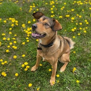 Meet your Posher, Ariana